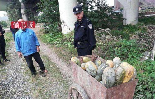 侯马吃瓜最新事件爆料是真的吗,最新爆料真相揭秘