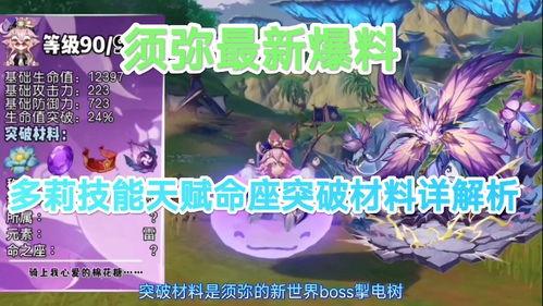 须弥爆料大全攻略最新版,最新版全解析，解锁游戏新境界